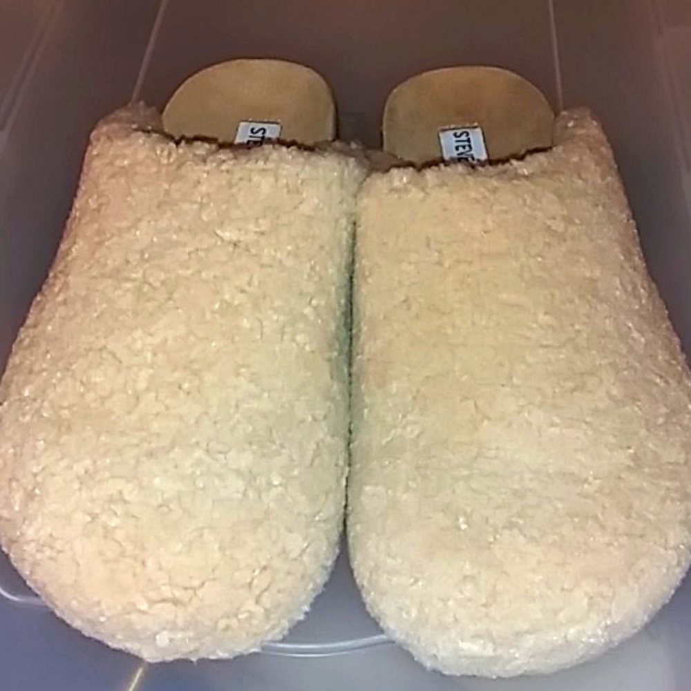 Steve Madden Vesa Clog